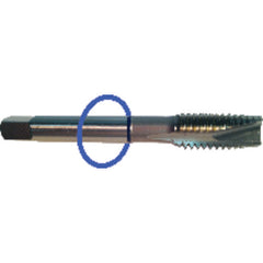 ‎M2.5 x .45 Dia-D3-2 FL-Std Spiral Point Tap - Blue Ring - Apex Tool & Supply