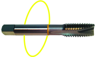 1-1/2-6 Dia. - H4 - 4 FL - Std Spiral Point Tap - Yellow Ring - Apex Tool & Supply