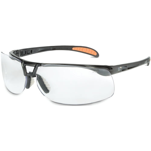 PROTEGE CLEAR LENS - Apex Tool & Supply