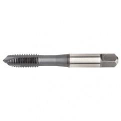 VTSPO5619 M5X0 8 D4 3FL SP PLUGHSS- - Apex Tool & Supply