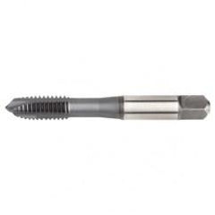 VTSPO5617 M4X0 7 D4 3FL SP PLUGHSS- - Apex Tool & Supply