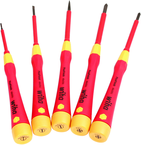 5PC PREC SLOTTED SCREWDRIVER SET - Apex Tool & Supply