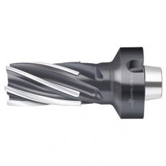 F1682.N8.063.Z06.100.P - Apex Tool & Supply