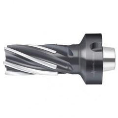 F1682.N8.063.Z06.100.K - Apex Tool & Supply