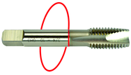 1/2-13 Dia. - H3 - 3 FL - Std Spiral Point Tap - Red Ring - Apex Tool & Supply