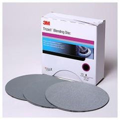 6 - P1000 Grit - 02090 Disc - Apex Tool & Supply