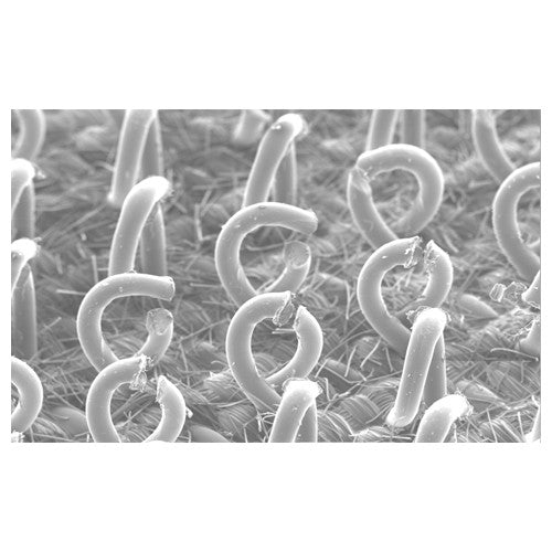 3M Hookit Clean Sanding Disc Pad Hook Saver 20446 6″ 52 Holes - Apex Tool & Supply